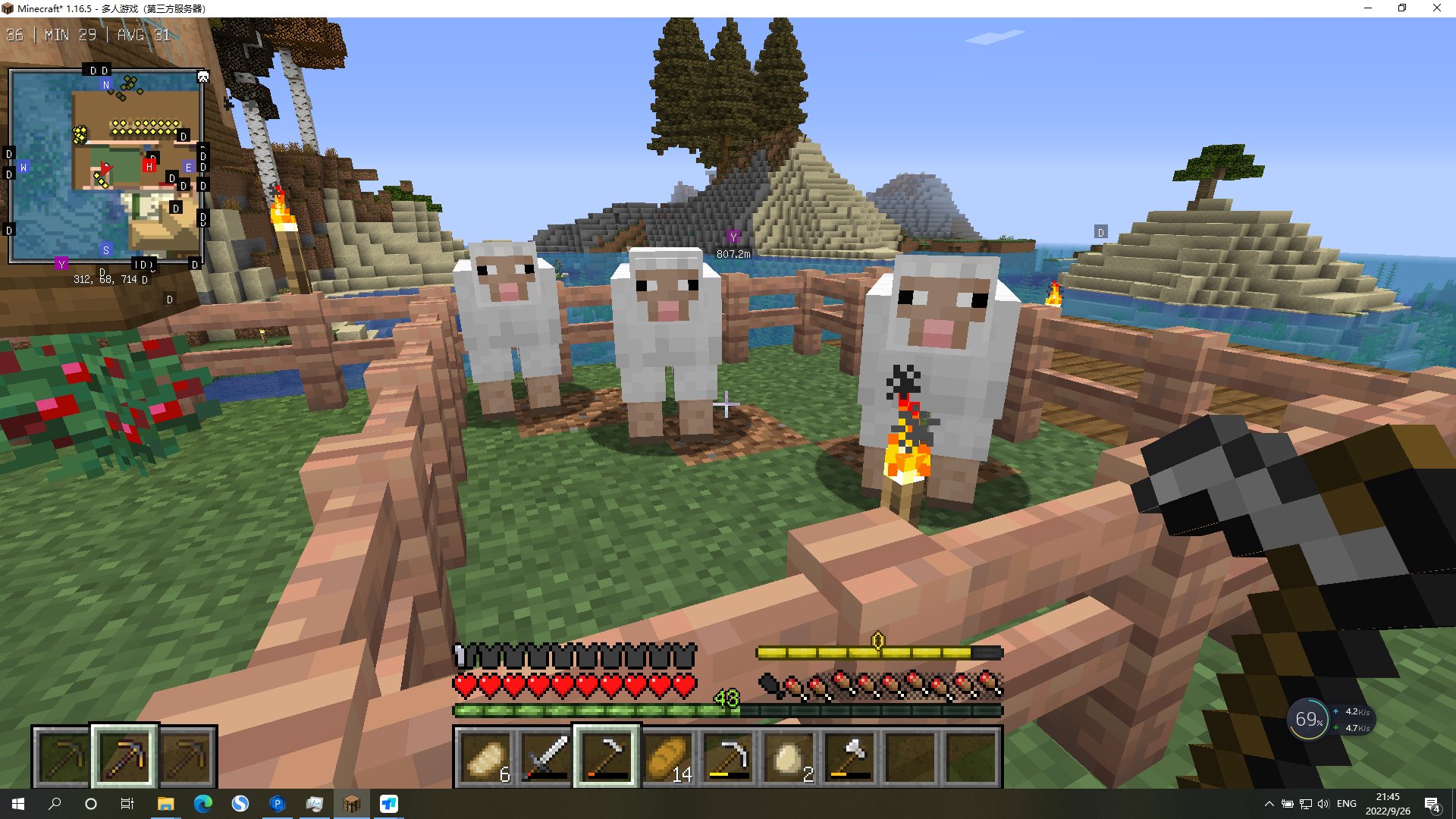 糖豆人：终极淘汰赛 豪华版 截图3